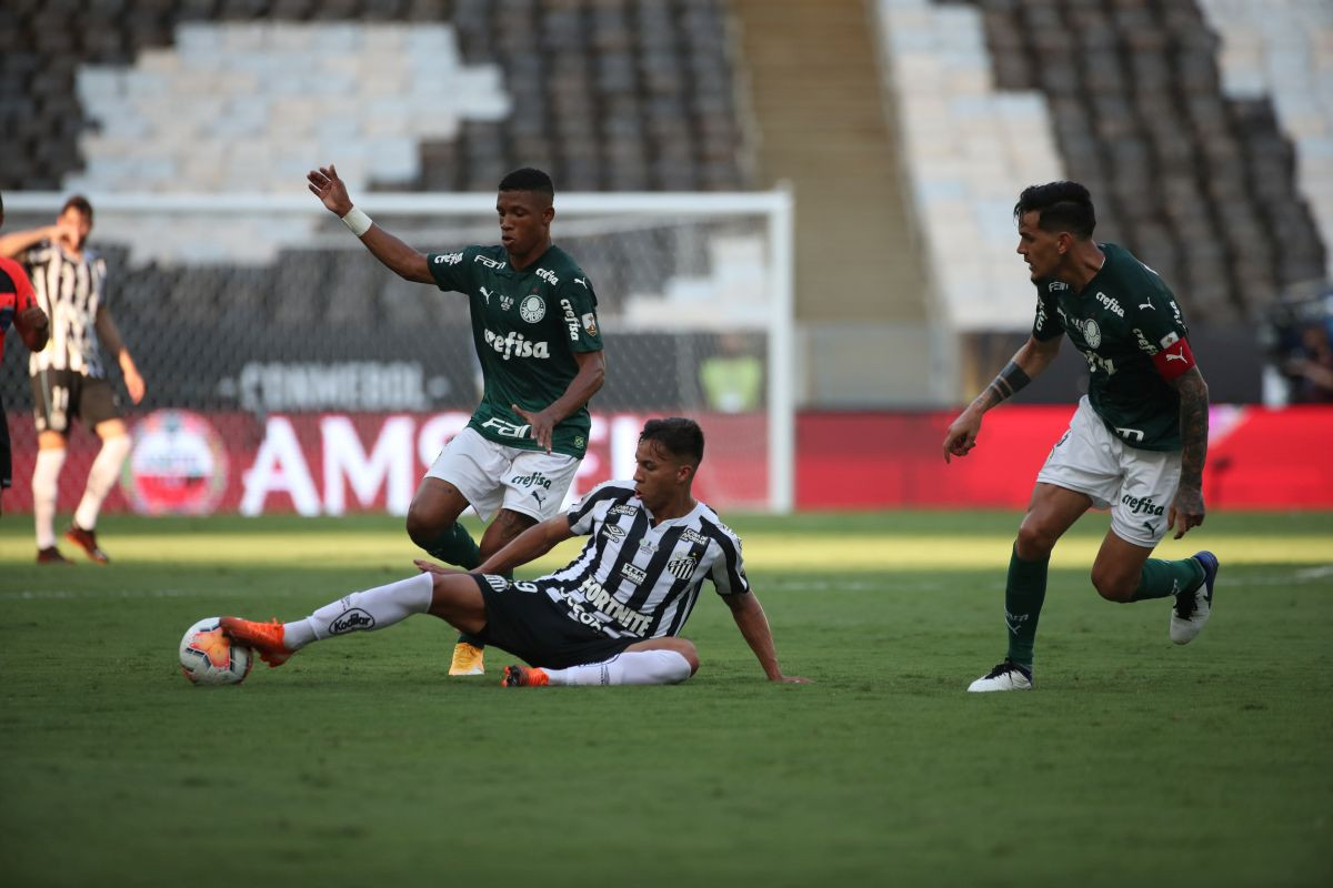 Nestvaran završetak Copa Libertadores: Palmeiras u 99. minuti postigao gol za titulu