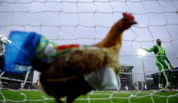 Blackburn ispao iz lige, igrači tjerali kokoš sa terena