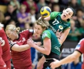 Viborg u grupi A, Podravka i Krim u grupi D Viborg u grupi A, Podravka i Krim u grupi D