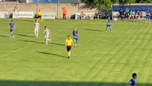 Borba za opstanak i više od toga u Prvoj ligi FBiH