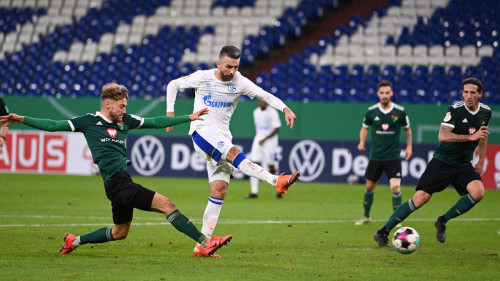 Vedad Ibišević i Naldo se potukli na treningu Schalkea!