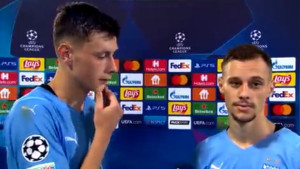 Bosanac u ulozi prevoditelja, Srbin se zapitao: "Šta? To je to? To je sve?"