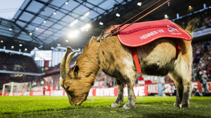 Bundesliga je nastavljena, ali mnogi su nezadovoljni: Jarac ostao kod kuće, navijači vidno ljuti
