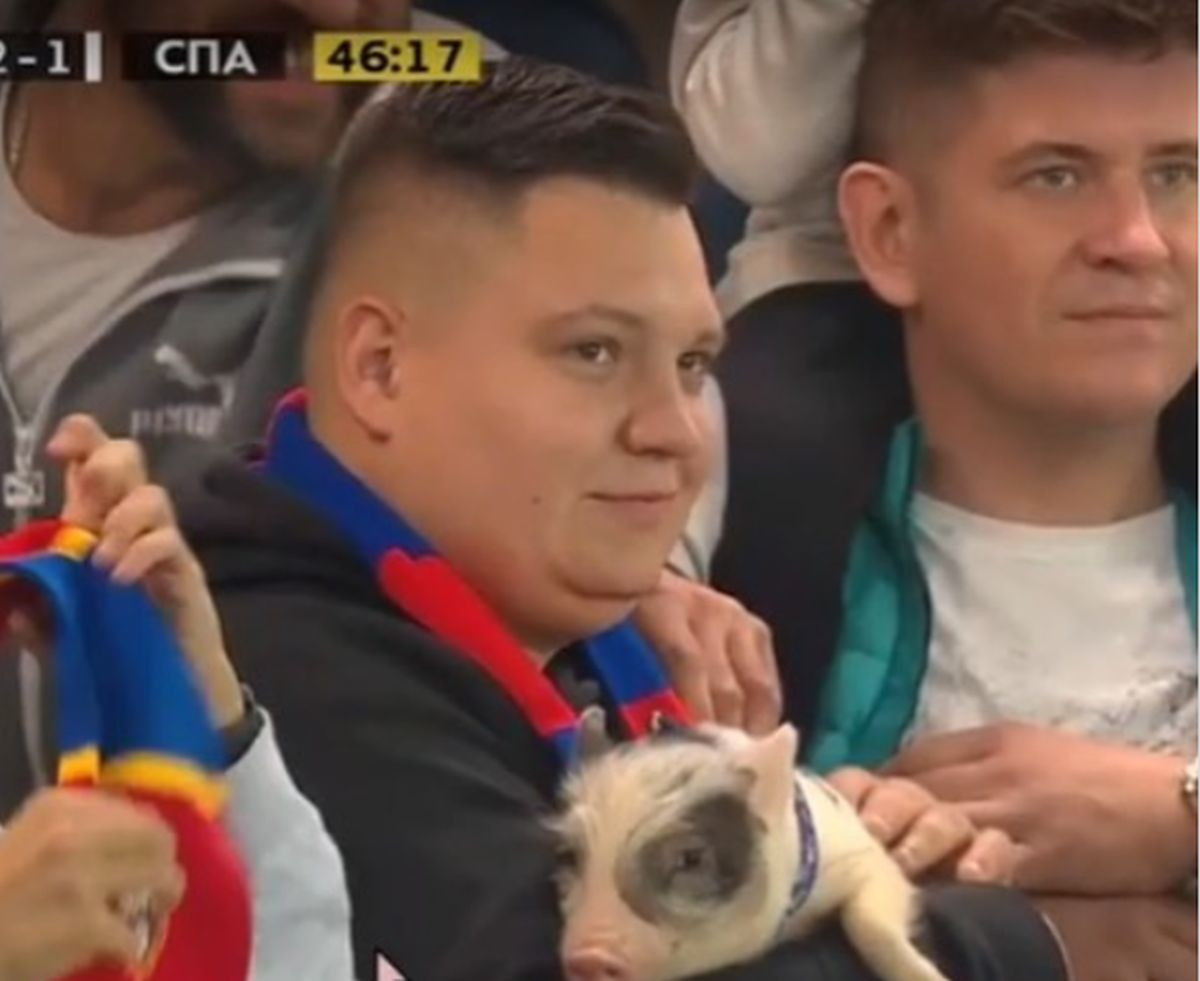 Paradoksalno: Dok negdje navijači ne mogu ni prići stadionu, u Rusiji mogu životinje
