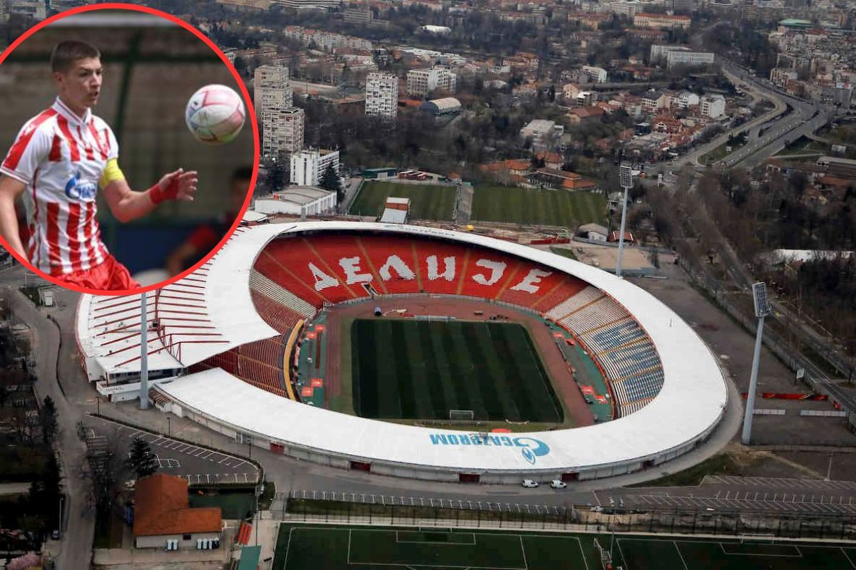 Defanzivna zvijer: Reprezentativac Bosne i Hercegovine potpisao za Crvenu zvezdu! Defanzivna zvijer: Reprezentativac Bosne i Hercegovine potpisao za Crvenu zvezdu!