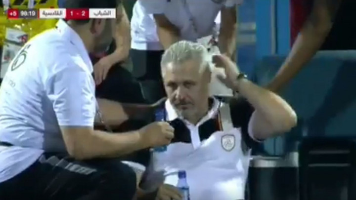 Ovo još nismo vidjeli na stadionu: Sumudica divljao, padao u nesvijest, liječio se medom