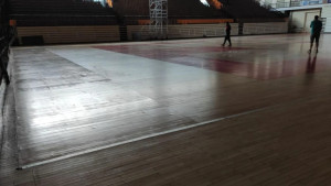 Mirza Teletović traži pomoć za obnovu Mejdana