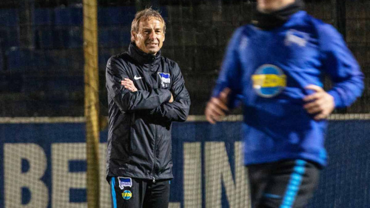 Klinsmann: Mnogo poštujem Ibiševića