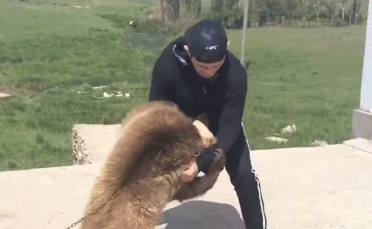 Udruženje za zaštitu životinja reagovalo zbog Khabibovog hrvanja sa medvjedom