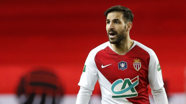 Fabregas: Odluka je možda donesena prerano