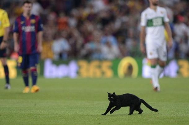 Crna mačka za crnu sezonu Barcelone?