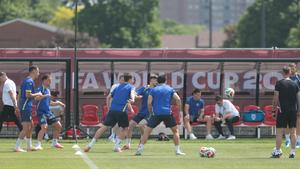 Jedan Zmaj propustio posljednji trening pred Kanadu!