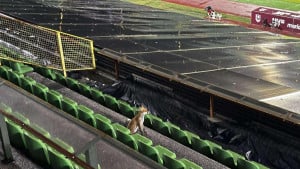 Slavnog IShowSpeeda je na Koševu dočekala lisica, a večeras je ponovo na tribinama