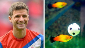 Thomas Müller igrače Bayerna usporedio sa zlatnom ribicom: "Pamćenje 10 sekundi..."