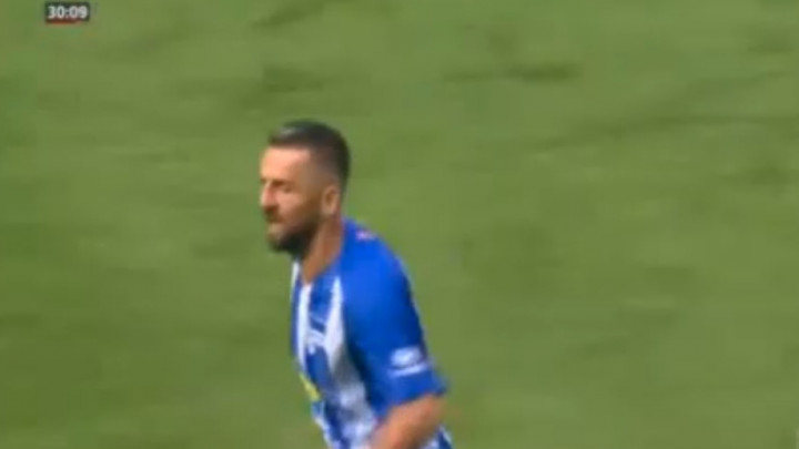 Novi gol Ibiševića za Herthu