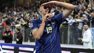 GOOOOOOOOL: Bosna i Hercegovina - Švedska 1:1