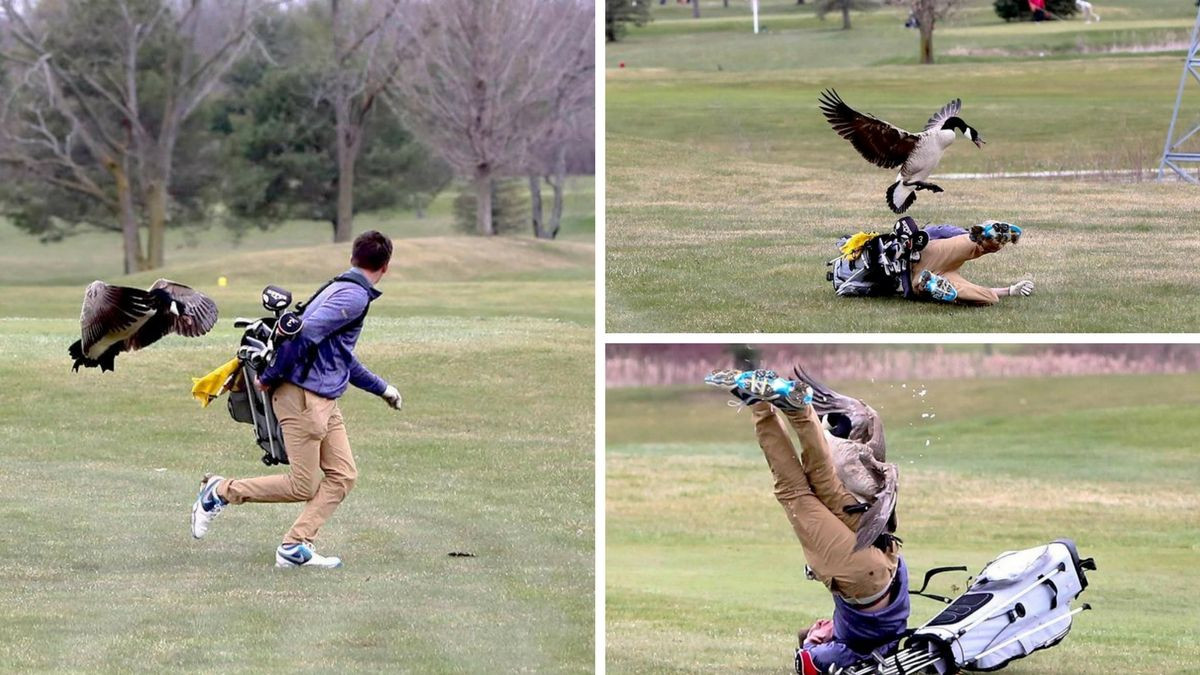 Komične scene sa golf terena zapalile internet