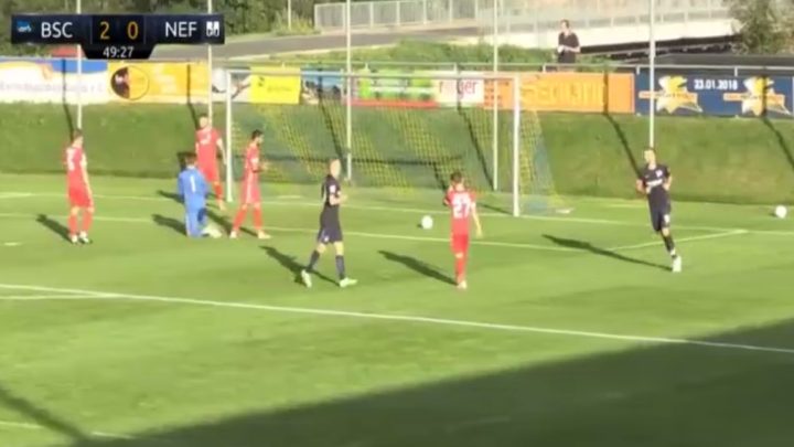 Ibišević postigao lijep gol protiv Nefčija