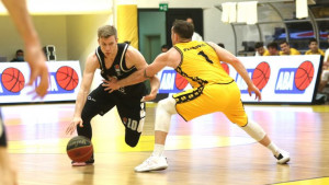 Partizan slavio na Gripama