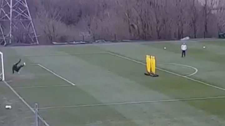 Rooney se oprobao u ulozi golmana i imao je šta da pokaže