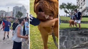 Lude scene s psom pokazale su kolika je Messi legenda u Argentini