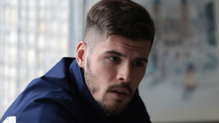 Siniša Stevanović: Za Želju je bitniji Bogičević nego Van Dijk, krahirali smo zbog loših odnosa