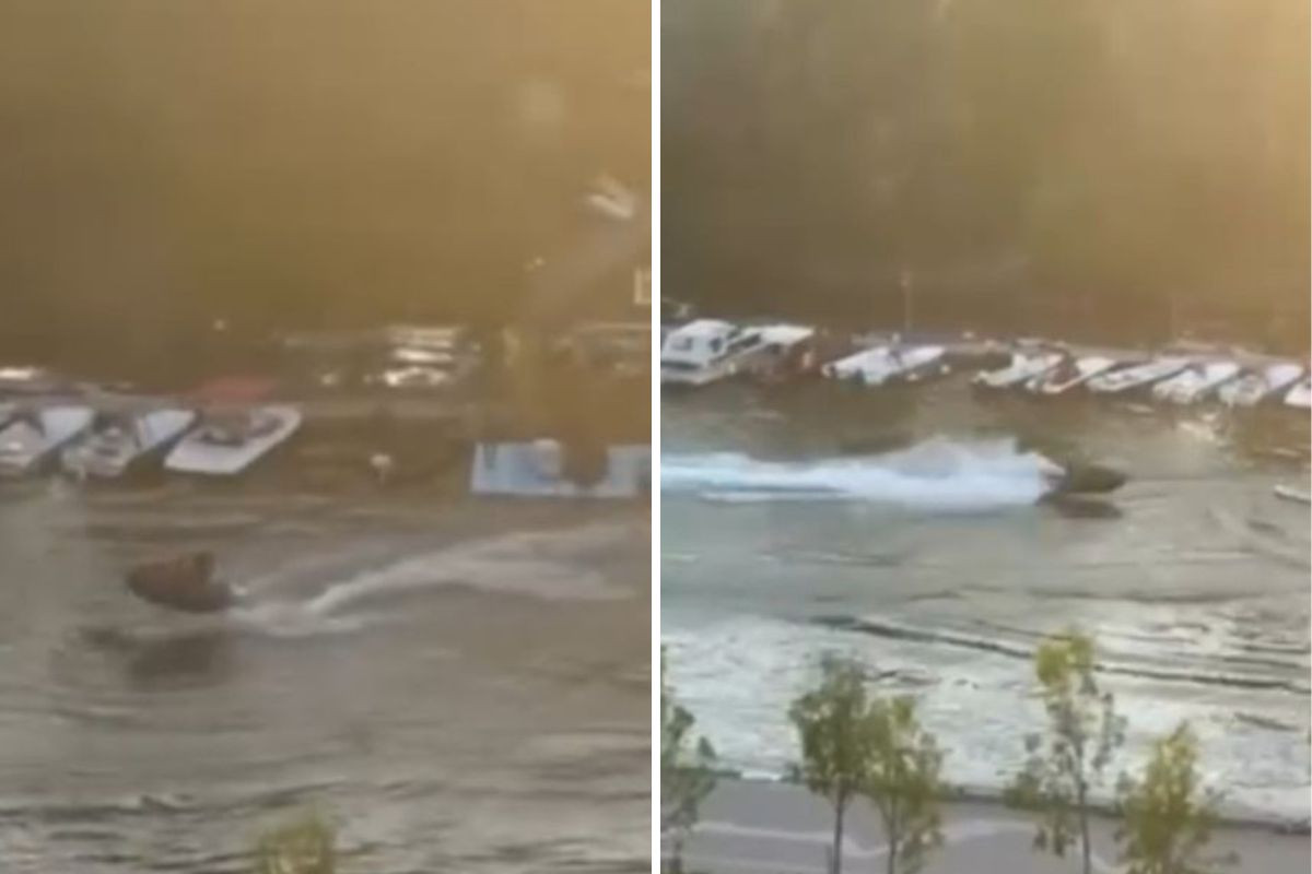 Snimljen jeziv napad u Srbiji, sportisti su bili na korak od smrti Snimljen jeziv napad u Srbiji, sportisti su bili na korak od smrti