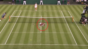 Na Wimbledonu viđena jedna od najtužnijih scena ikada u bijelom sportu: Slavno ime, jauci, uzdasi...