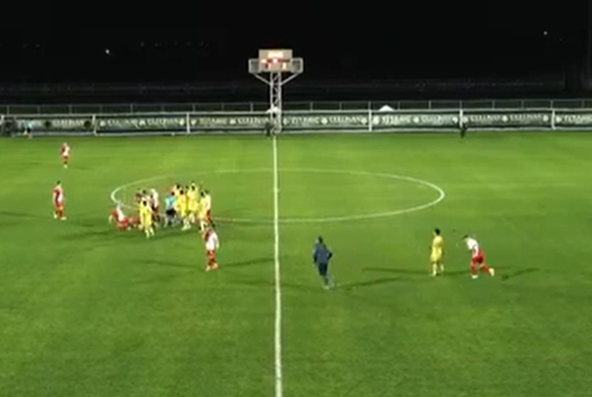 Tučnjavom završen meč Vojvodine, Nenad Lalatović ponovo u centru pažnje Tučnjavom završen meč Vojvodine, Nenad Lalatović ponovo u centru pažnje