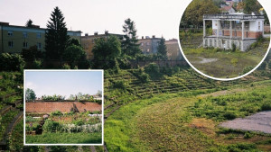 Stadion na kojem je BiH ispisala historiju postao zapušteni vrt, neki na njemu sade i bašte