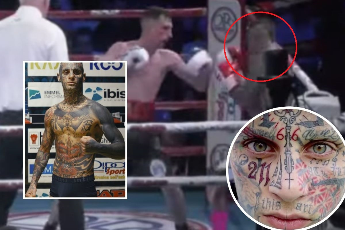 Zastrašujući Komarac ušao u ring, uopšte nije tako strašan kakvim se zamišlja Zastrašujući Komarac ušao u ring, uopšte nije tako strašan kakvim se zamišlja