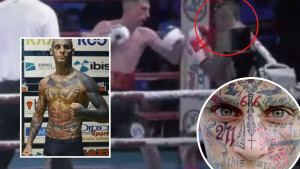 Zastrašujući Komarac ušao u ring, uopšte nije tako strašan kakvim se zamišlja