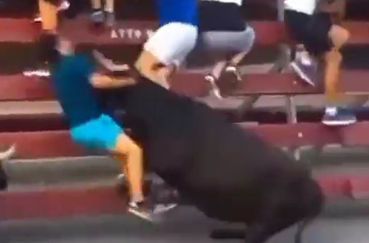 Na koridi je izazivao bika, a onda je stigao trenutak koji je sve prisutne šokirao