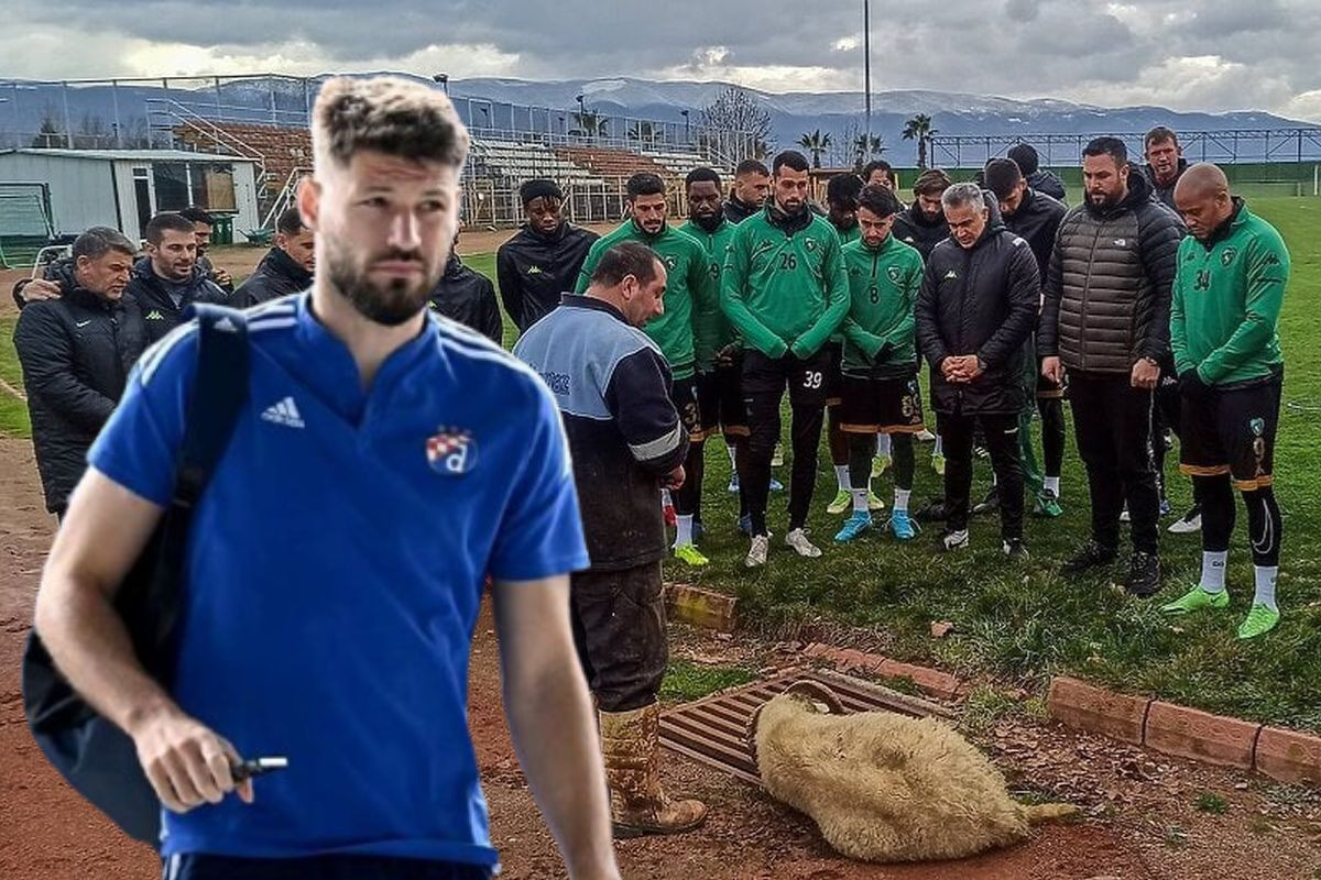 Klali kurban za spas, sada formirali napad iz snova - Pored Petkovića će zaigrati dobro poznato ime! Klali kurban za spas, sada formirali napad iz snova - Pored Petkovića će zaigrati dobro poznato ime!