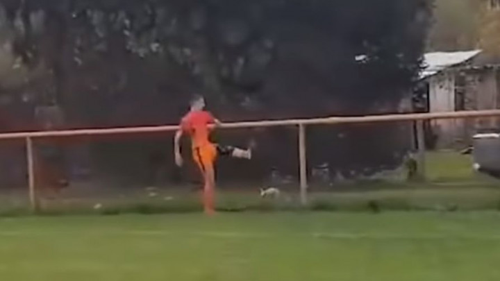 Hrvatski fudbaler na utakmici ubio kokoš, a zbog prijave mu sada prijeti i zatvorska kazna