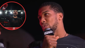 Filip Hrgović može biti sretan zbog onog što je izgovorio Anthony Joshua