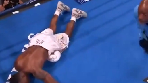 Gennady Golovkin brutalno nokautirao Rollsa