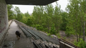 Grad od 50.000 stanovnika postao je grad duhova, a na terenu napuštenog stadiona izrasla drva