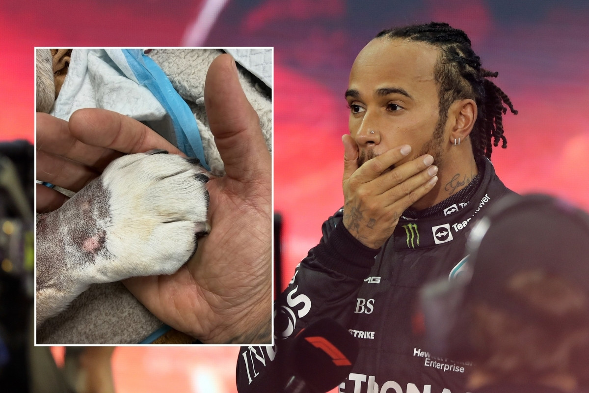 Hamilton se kroz suze oprostio od najboljeg prijatelja: "Poslije četiri dana na aparatima.."