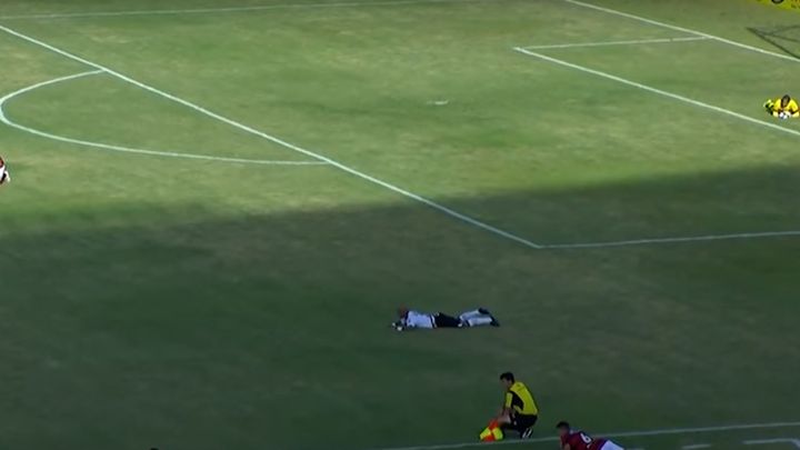 Pčele napale fudbalere u Brazilu