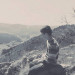 user2417