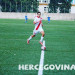 brzengija
