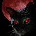 Helzercat