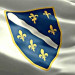 BosanskaSwedska